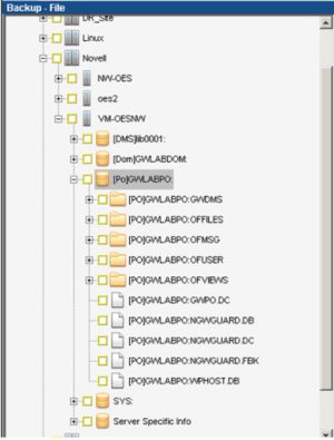 DPX-GroupWise-Environment-1 DPX-GroupWise-Environment-1