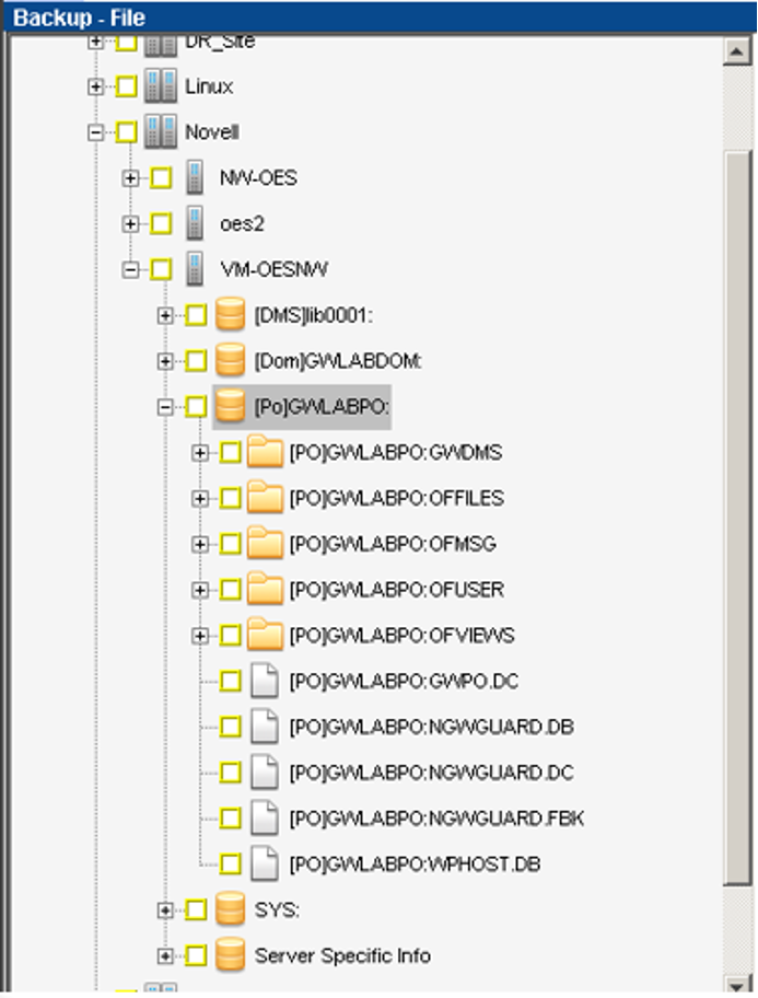 DPX GroupWise Environment