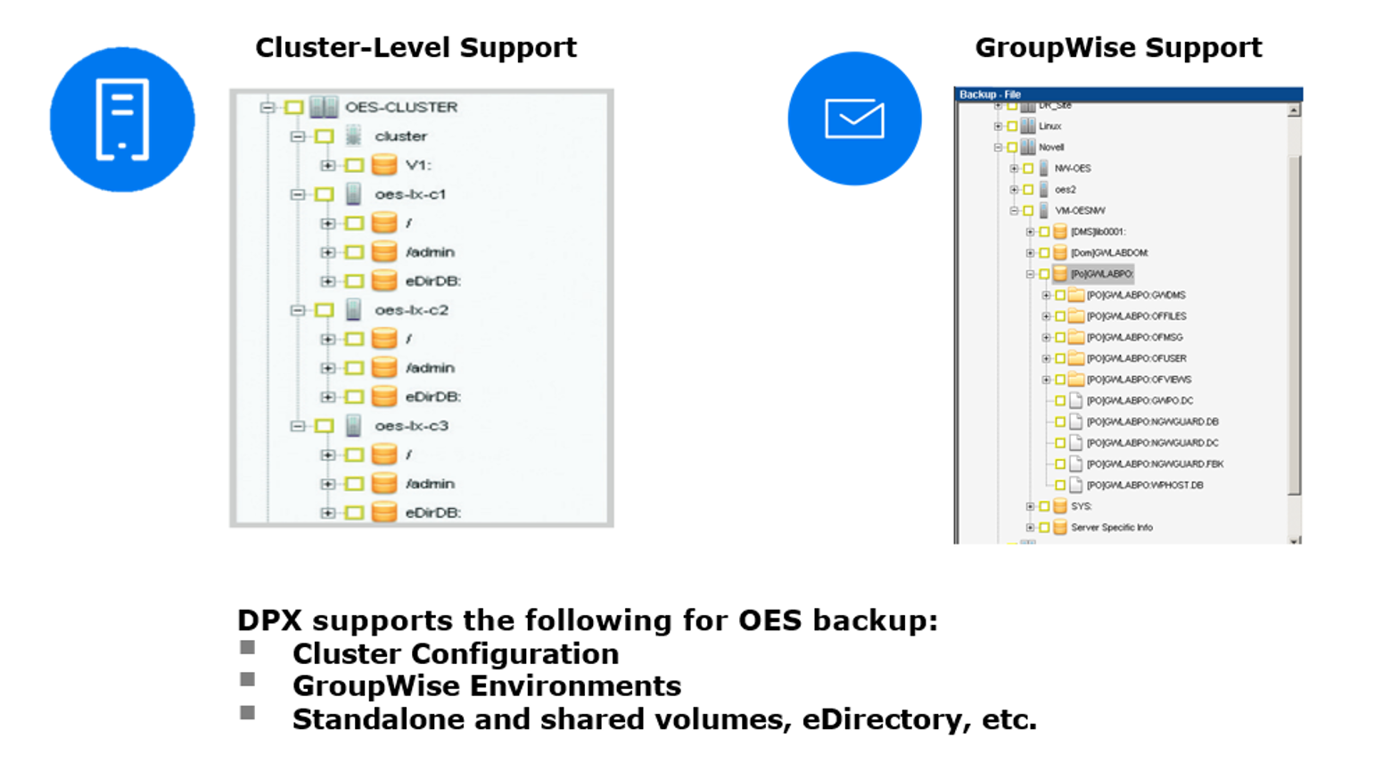 OpenText OES Backup Catalogic Software