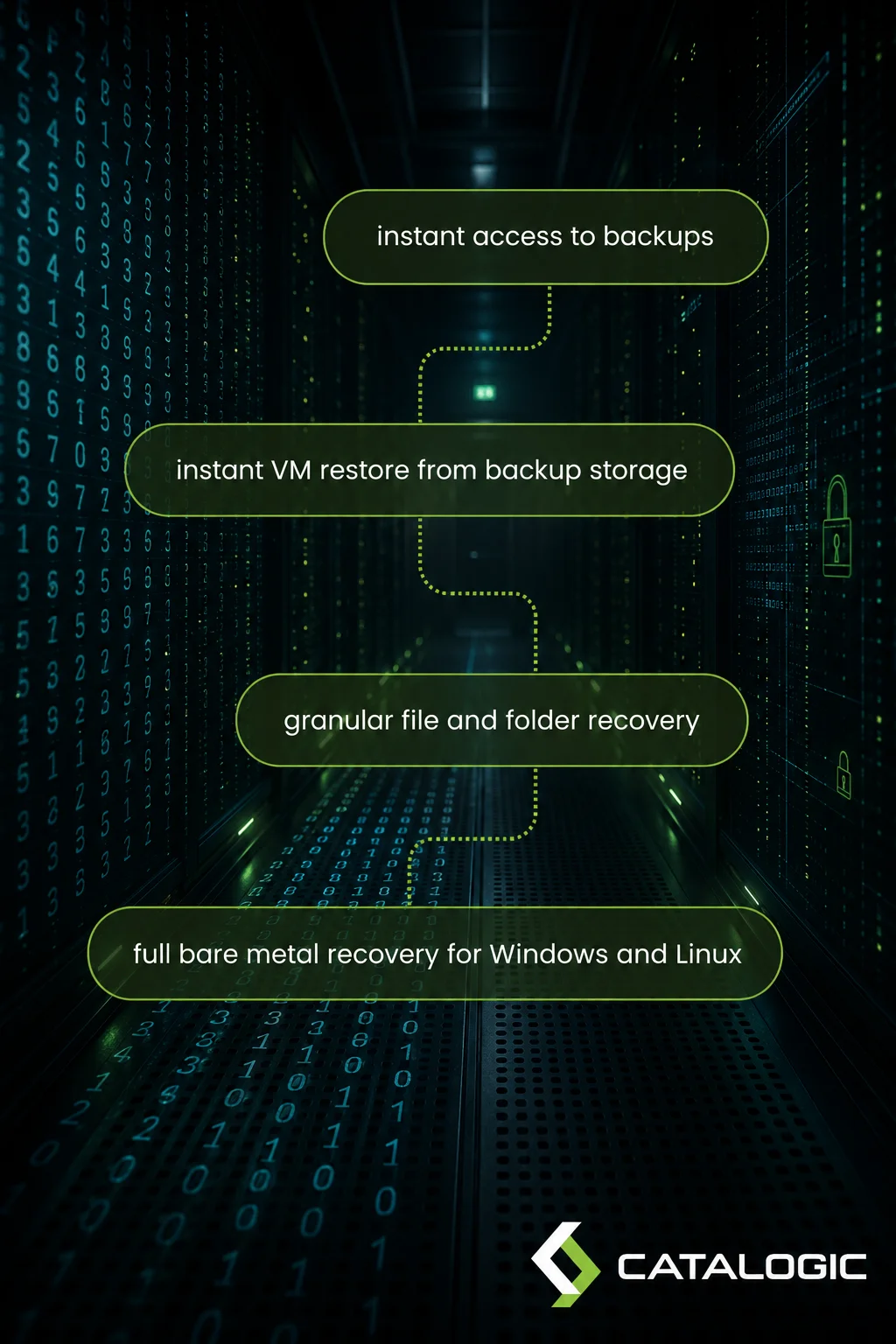 DPX rapid recovery options including instant VM restore and granular recovery